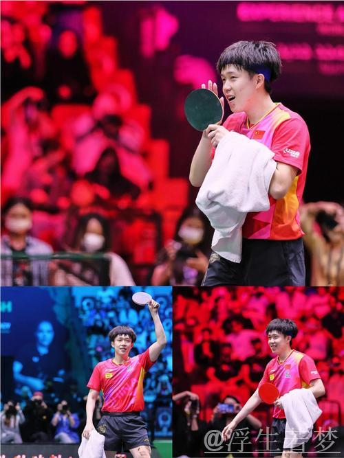 王楚钦单打完胜魏桥主场3-0横扫汕头 明润梁靖崑双胜助力夺冠