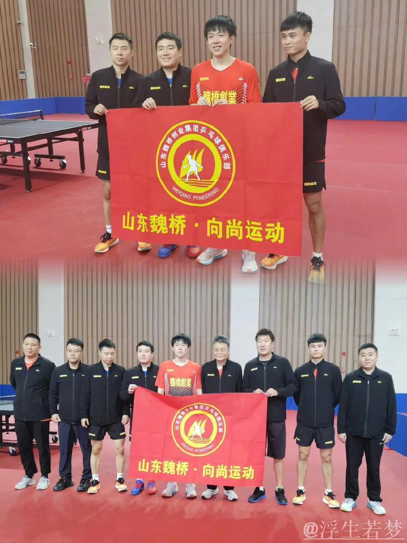 山东魏桥豪取乒超赛季八连胜 山东魏桥豪取乒超赛季八连胜